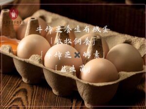 牛樟芝養生有機蛋